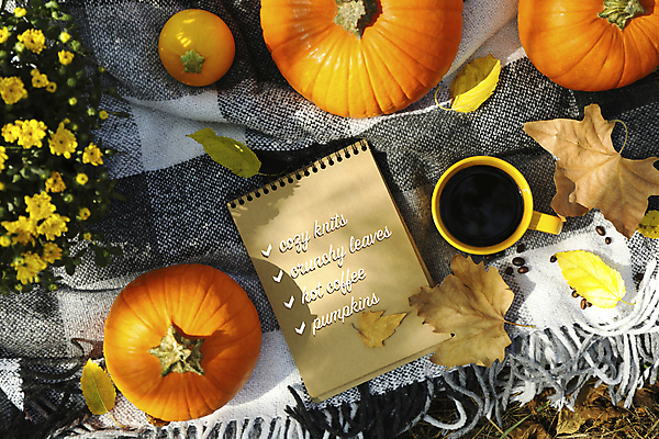 포토 JPG 해외이미지 주간 꽃 커피 호박 사람없음 야외 컵 하이앵글 공책 원두 가을 담요 추수감사절 체크리스트 해외포토 자연요소 식물 식기 계절 기독교 음료 뷰포인트 채소 문구용품 파일형식