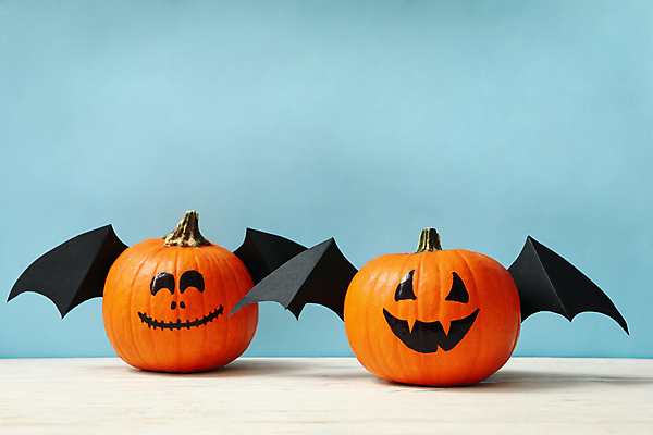 포토 JPG 해외이미지 실내 사람없음 장식 할로윈 파란배경 박쥐날개 잭오랜턴 해외포토 백그라운드 날개 내부 파란색 파일형식