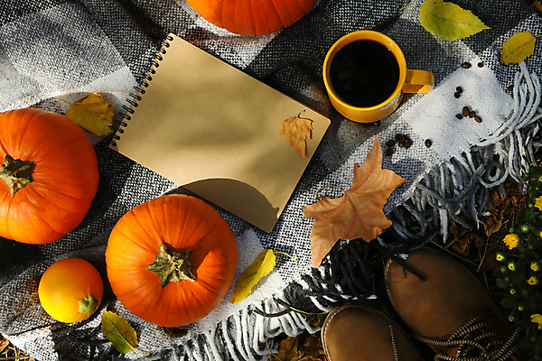 포토 JPG 해외이미지 주간 꽃 커피 호박 부츠 사람없음 야외 컵 하이앵글 공책 원두 가을 담요 추수감사절 해외포토 자연요소 식물 식기 계절 기독교 음료 뷰포인트 신발 채소 문구용품 파일형식