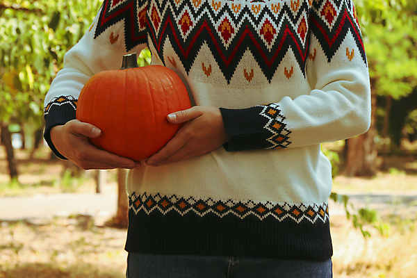포토 JPG 해외이미지 주간 여자 호박 한명 들기 상반신 성인 야외 앞모습 아웃포커스 가을 스웨터 추수감사절 성인여자한명만 해외포토 자연요소 1 계절 기독교 뷰포인트 상의 채소 모션 촬영기법 사람 여자한명만 성인여자만 파일형식