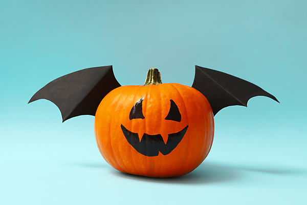 포토 JPG 해외이미지 실내 사람없음 장식 할로윈 파란배경 박쥐날개 잭오랜턴 해외포토 백그라운드 날개 내부 파란색 파일형식