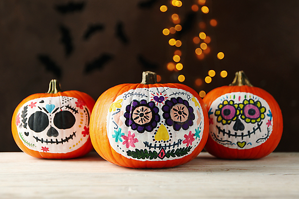 포토 JPG 해외이미지 전통 기념일 꽃 전통문화 검은배경 멕시코 해골 실내 사람없음 축제 할로윈 그림 잭오랜턴 해골모형 해외포토 식물 문화 백그라운드 북아메리카 뼈 이벤트 내부 모형 검은색 파일형식