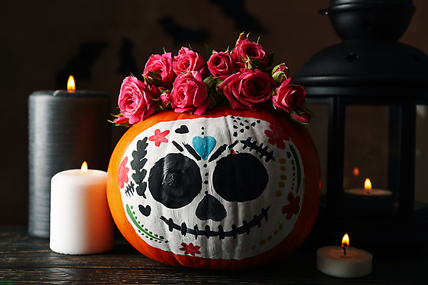 포토 JPG 해외이미지 전통 기념일 전통문화 초 검은배경 멕시코 해골 실내 사람없음 장미 축제 할로윈 랜턴 그림 잭오랜턴 해외포토 꽃 문화 백그라운드 북아메리카 조명 뼈 이벤트 내부 검은색 파일형식