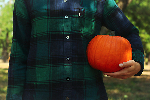 포토 JPG 해외이미지 주간 여자 호박 한명 들기 상반신 성인 야외 앞모습 아웃포커스 정원 가을 추수감사절 성인여자한명만 해외포토 자연요소 1 계절 기독교 뷰포인트 채소 모션 촬영기법 사람 여자한명만 성인여자만 파일형식
