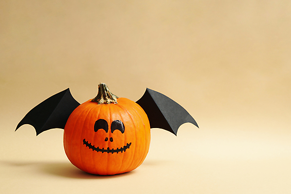 포토 JPG 해외이미지 실내 사람없음 장식 할로윈 박쥐날개 잭오랜턴 베이지색배경 카피스페이스 해외포토 백그라운드 날개 내부 공백 베이지색 파일형식