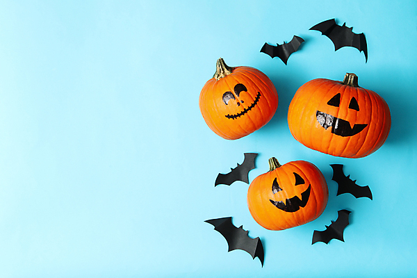 포토 JPG 해외이미지 실내 미소 사람없음 하이앵글 할로윈 가을 파란배경 박쥐 잭오랜턴 카피스페이스 해외포토 계절 뷰포인트 백그라운드 포유류 표정 내부 파란색 공백 파일형식