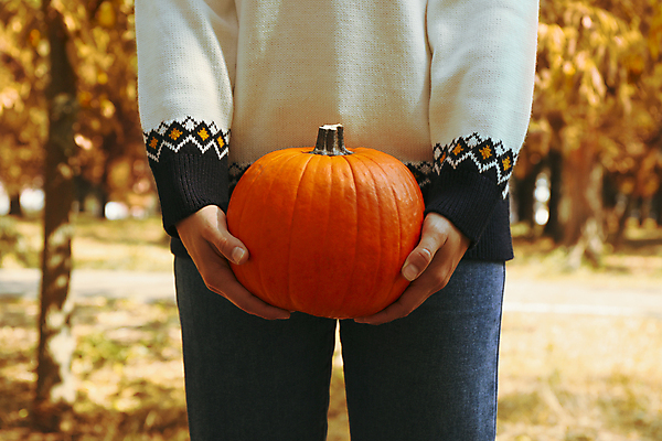 포토 JPG 해외이미지 주간 여자 호박 한명 들기 사람 상반신 성인 야외 앞모습 아웃포커스 가을 스웨터 추수감사절 성인여자한명만 해외포토 자연요소 1 계절 기독교 뷰포인트 상의 채소 모션 촬영기법 여자한명만 성인여자만 파일형식
