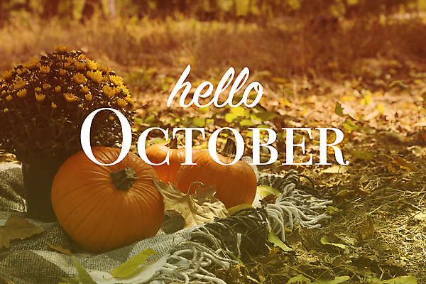 포토 JPG 해외이미지 주간 꽃 화분 낙엽 호박 타이포그라피 사람없음 야외 가을 추수감사절 해외포토 자연요소 식물 문자 계절 기독교 잎 채소 파일형식