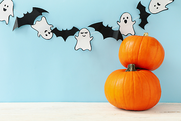 포토 JPG 해외이미지 실내 사람없음 장식 파티 쌓기 할로윈 유령 파란배경 박쥐 가랜드 잭오랜턴 해외포토 백그라운드 포유류 모션 이벤트 내부 파란색 파티용품 파일형식