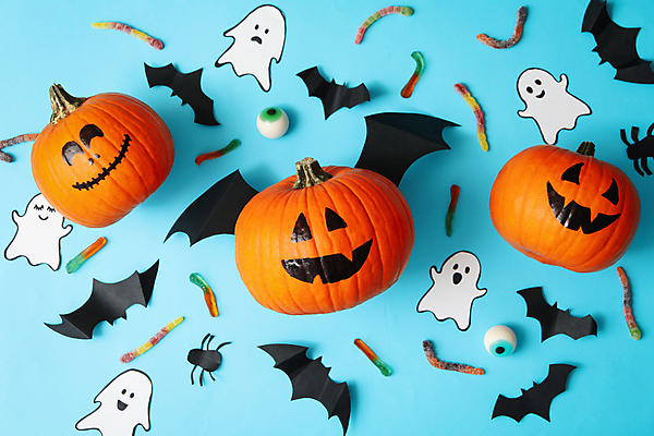 포토 JPG 해외이미지 실내 사탕 미소 사람없음 하이앵글 할로윈 가을 유령 파란배경 박쥐 젤리 안구모형 잭오랜턴 해외포토 계절 뷰포인트 백그라운드 포유류 디저트 표정 내부 파란색 모형 파일형식