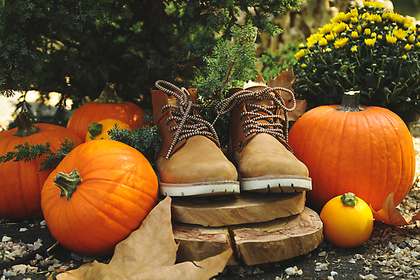 포토 JPG 해외이미지 주간 꽃 잎 자연 호박 부츠 사람없음 야외 가을 추수감사절 해외포토 자연요소 식물 계절 기독교 신발 채소 생태계 파일형식