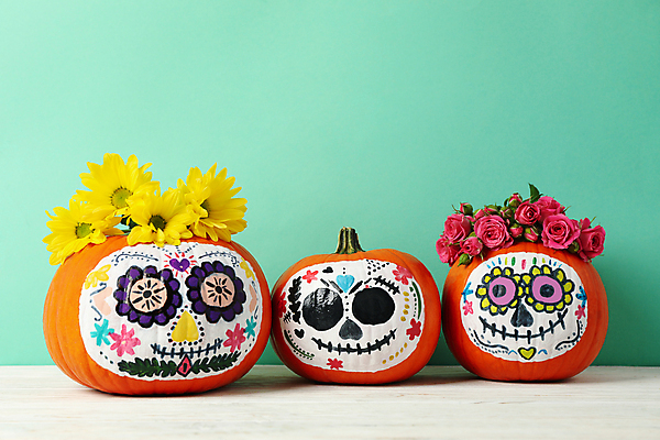 포토 JPG 해외이미지 전통 기념일 전통문화 해바라기 멕시코 해골 실내 사람없음 장미 축제 할로윈 그림 잭오랜턴 해골모형 초록배경 해외포토 꽃 문화 백그라운드 북아메리카 뼈 이벤트 내부 초록색 모형 파일형식