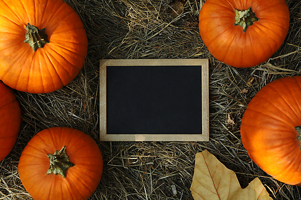 포토 JPG 해외이미지 주간 낙엽 자연 호박 사각프레임 사람없음 야외 하이앵글 칠판 가을 추수감사절 카피스페이스 해외포토 자연요소 계절 기독교 뷰포인트 잎 채소 프레임 사각형 공백 생태계 파일형식