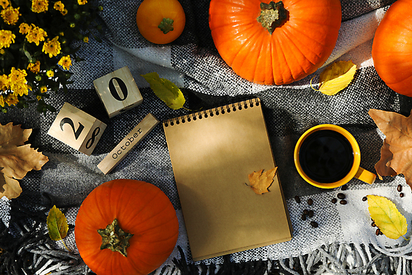 포토 JPG 해외이미지 주간 꽃 커피 호박 사람없음 야외 컵 하이앵글 원두 가을 담요 추수감사절 나무블록 해외포토 자연요소 식물 식기 계절 기독교 음료 뷰포인트 채소 목재 블록 파일형식