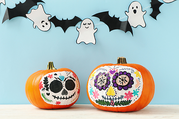 포토 JPG 해외이미지 전통 기념일 전통문화 멕시코 해골 실내 사람없음 장식 축제 할로윈 유령 그림 파란배경 박쥐 가랜드 잭오랜턴 해골모형 해외포토 문화 백그라운드 북아메리카 포유류 뼈 이벤트 내부 파란색 모형 파티용품 파일형식