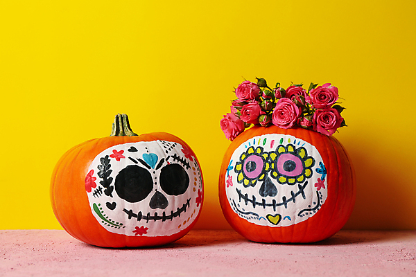 포토 JPG 해외이미지 전통 기념일 전통문화 멕시코 해골 실내 사람없음 장미 축제 할로윈 그림 노란배경 잭오랜턴 해골모형 해외포토 꽃 문화 백그라운드 북아메리카 뼈 이벤트 내부 노란색 모형 파일형식