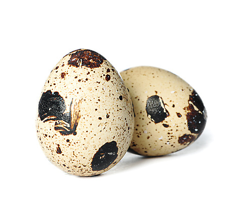 포토 JPG 해외이미지 음식 실내 근접촬영 사람없음 흰배경 메추리알 해외포토 뷰포인트 백그라운드 내부 알 흰색 파일형식