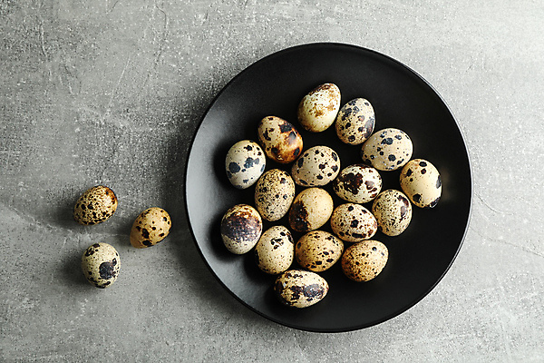 포토 JPG 해외이미지 접시 음식 회색배경 실내 사람없음 하이앵글 메추리알 해외포토 식기 뷰포인트 백그라운드 내부 알 회색 파일형식