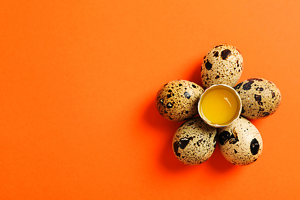 포토 JPG 해외이미지 음식 실내 사람없음 하이앵글 노른자 메추리알 주황색배경 해외포토 뷰포인트 백그라운드 내부 계란 알 주황색 파일형식