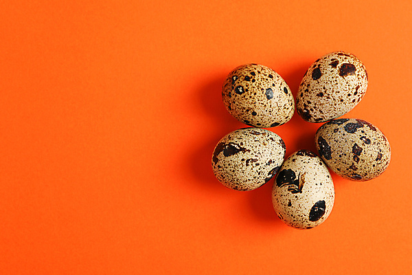 포토 JPG 해외이미지 음식 실내 사람없음 하이앵글 메추리알 주황색배경 해외포토 뷰포인트 백그라운드 내부 알 주황색 파일형식