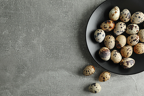 포토 JPG 해외이미지 접시 음식 회색배경 실내 사람없음 하이앵글 메추리알 해외포토 식기 뷰포인트 백그라운드 내부 알 회색 파일형식