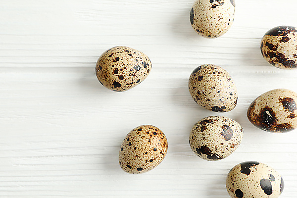 포토 JPG 해외이미지 음식 실내 사람없음 하이앵글 흰배경 메추리알 해외포토 뷰포인트 백그라운드 내부 알 흰색 파일형식