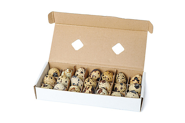 포토 JPG 해외이미지 음식 실내 사람없음 상자 흰배경 메추리알 계란판 해외포토 백그라운드 내부 알 흰색 파일형식