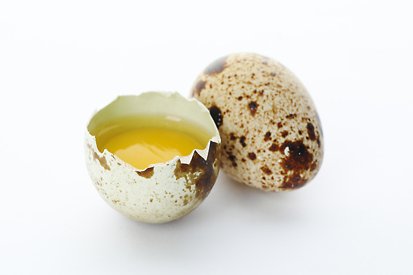 포토 JPG 해외이미지 음식 실내 사람없음 흰배경 노른자 메추리알 해외포토 백그라운드 내부 계란 알 흰색 파일형식
