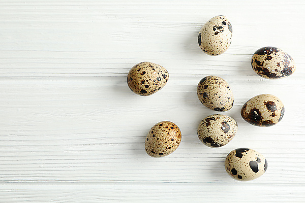 포토 JPG 해외이미지 음식 실내 사람없음 하이앵글 흰배경 메추리알 해외포토 뷰포인트 백그라운드 내부 알 흰색 파일형식