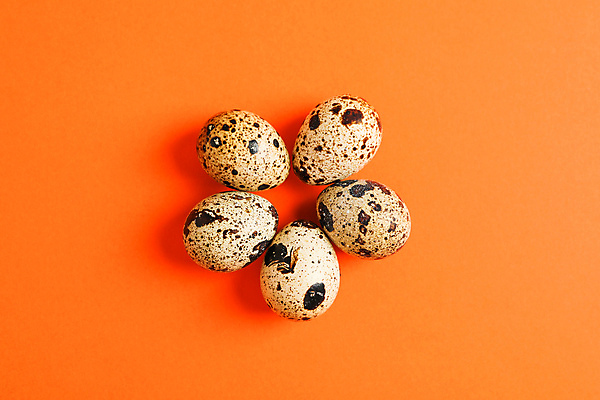 포토 JPG 해외이미지 음식 실내 사람없음 하이앵글 메추리알 주황색배경 해외포토 뷰포인트 백그라운드 내부 알 주황색 파일형식