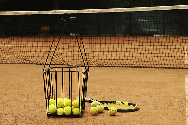 포토 JPG 해외이미지 주간 사람없음 야외 바구니 테니스 테니스장 테니스공 해외포토 자연요소 공 스포츠시설 구기 테니스용품 파일형식