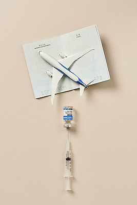 포토 JPG 스튜디오촬영 해외여행 실내 주사기 사람없음 하이앵글 사회이슈 여권 주사약 면역력 백신 비행기모형 접종 플랫레이 분홍색배경 코로나바이러스 바이알 포스트코로나 백신여권 델타변이바이러스 위드코로나 국내포토 해외 뷰포인트 분홍색 여행 백그라운드 컨셉 의학 의료기기 비행기 내부 약 모형 의료용품 플랫 바이러스 파일형식