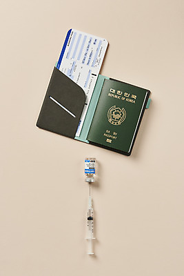 포토 JPG 스튜디오촬영 해외여행 실내 주사기 사람없음 하이앵글 사회이슈 항공권 여권 주사약 면역력 백신 여권케이스 접종 분홍색배경 코로나바이러스 바이알 포스트코로나 백신여권 델타변이바이러스 위드코로나 국내포토 해외 뷰포인트 분홍색 여행 백그라운드 컨셉 의학 의료기기 내부 약 의료용품 티켓 바이러스 파일형식