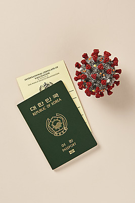 포토 JPG 스튜디오촬영 해외여행 실내 사람없음 하이앵글 모형 사회이슈 여권 면역력 접종 증명서 분홍색배경 코로나바이러스 포스트코로나 백신여권 델타변이바이러스 위드코로나 국내포토 해외 뷰포인트 분홍색 여행 백그라운드 컨셉 의학 내부 바이러스 파일형식