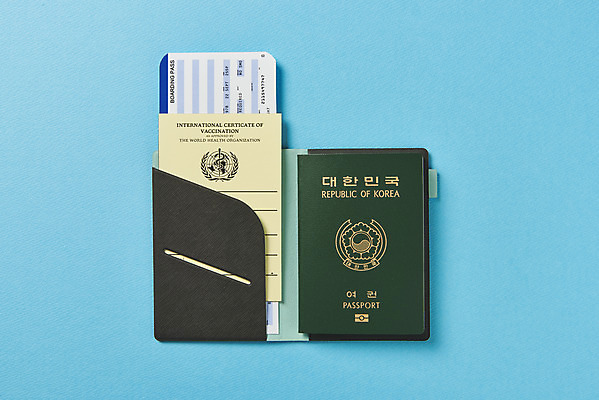 포토 JPG 스튜디오촬영 해외여행 실내 사람없음 하이앵글 사회이슈 항공권 파란배경 여권 면역력 여권케이스 접종 증명서 코로나바이러스 포스트코로나 백신여권 델타변이바이러스 위드코로나 국내포토 해외 뷰포인트 여행 백그라운드 컨셉 의학 내부 파란색 티켓 바이러스 파일형식
