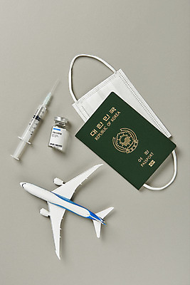 포토 JPG 스튜디오촬영 해외여행 회색배경 실내 주사기 마스크 사람없음 하이앵글 사회이슈 여권 주사약 면역력 백신 비행기모형 접종 플랫레이 코로나바이러스 바이알 포스트코로나 백신여권 델타변이바이러스 위드코로나 국내포토 해외 뷰포인트 여행 백그라운드 컨셉 의학 의료기기 비행기 내부 약 모형 회색 의료용품 플랫 바이러스 파일형식