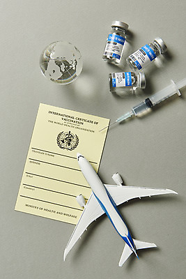 포토 JPG 스튜디오촬영 여행 회색배경 실내 주사기 사람없음 하이앵글 지구본 사회이슈 주사약 면역력 백신 비행기모형 접종 증명서 플랫레이 코로나바이러스 바이알 포스트코로나 백신여권 델타변이바이러스 위드코로나 국내포토 뷰포인트 백그라운드 컨셉 의학 의료기기 비행기 내부 약 모형 회색 의료용품 플랫 바이러스 파일형식