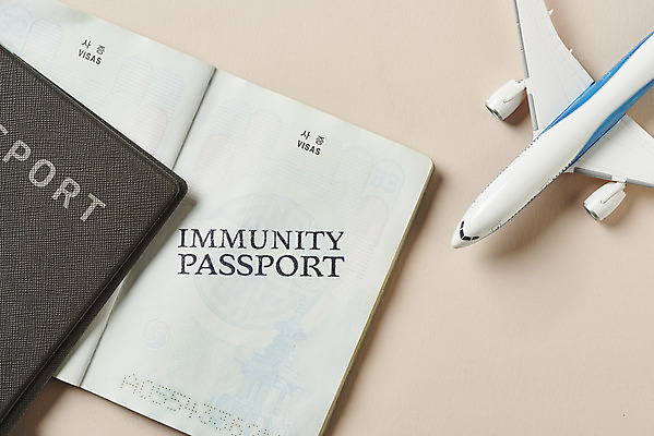 포토 JPG 스튜디오촬영 해외여행 실내 사람없음 하이앵글 사회이슈 여권 면역력 비행기모형 여권케이스 접종 분홍색배경 코로나바이러스 포스트코로나 백신여권 델타변이바이러스 위드코로나 국내포토 해외 뷰포인트 분홍색 여행 백그라운드 컨셉 의학 비행기 내부 모형 바이러스 파일형식