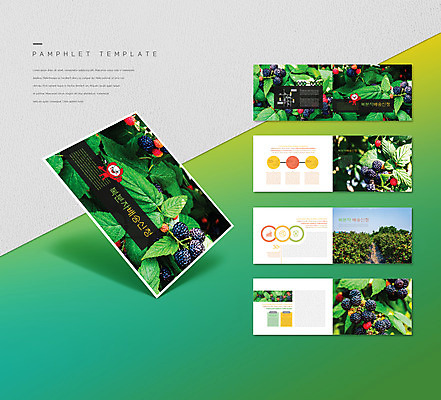 템플릿 ZIP 리플렛 잎 밭 팜플렛 사람없음 초록색 최고 배송 과일캐릭터 복분자 인디자인 INDD 이미지템플릿 식물 캐릭터 컬러 농업 과일 파일형식