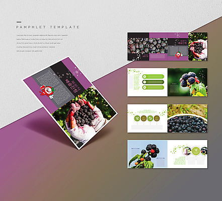 템플릿 손 ZIP 리플렛 잎 들기 팜플렛 신체부위 보라색 배송 과일캐릭터 복분자 인디자인 INDD 이미지템플릿 식물 캐릭터 컬러 과일 모션 사람 파일형식