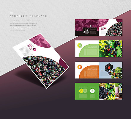 템플릿 ZIP 리플렛 잎 팜플렛 사람없음 배송 복분자 인디자인 INDD 이미지템플릿 식물 과일 파일형식