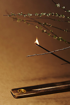 포토 JPG 스튜디오촬영 불 실내 사람없음 나뭇가지 아로마 향 아로마테라피 홀더 갈색배경 인센스스틱 국내포토 자연요소 나무 백그라운드 내부 갈색 테라피 파일형식