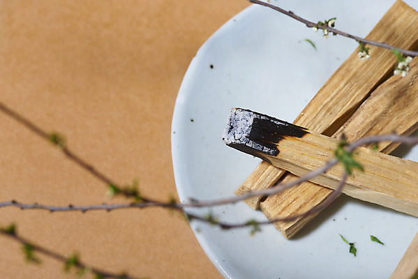 포토 JPG 스튜디오촬영 접시 실내 사람없음 나뭇가지 소프트포커스 아로마 향 나무조각 아로마테라피 갈색배경 팔로산토 국내포토 나무 식기 백그라운드 촬영기법 내부 목재 갈색 테라피 파일형식