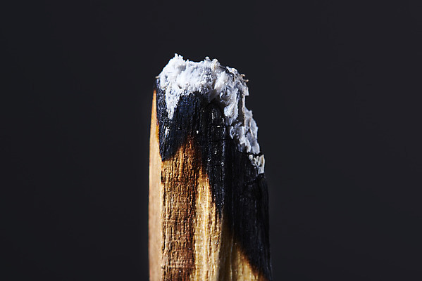 포토 JPG 스튜디오촬영 검은배경 실내 근접촬영 사람없음 아로마 향 나무조각 아로마테라피 팔로산토 국내포토 나무 뷰포인트 백그라운드 내부 목재 검은색 테라피 파일형식