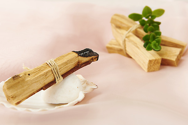 포토 JPG 스튜디오촬영 실내 사람없음 조약돌 풀 조개껍데기 아로마 향 나무조각 아로마테라피 분홍색배경 팔로산토 국내포토 나무 식물 분홍색 백그라운드 조개 내부 목재 돌_바위 테라피 파일형식