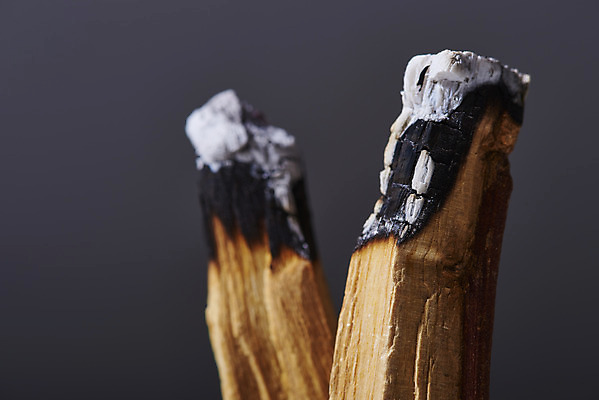 포토 JPG 스튜디오촬영 검은배경 실내 근접촬영 사람없음 아웃포커스 아로마 향 나무조각 아로마테라피 팔로산토 국내포토 나무 뷰포인트 백그라운드 촬영기법 내부 목재 검은색 테라피 파일형식