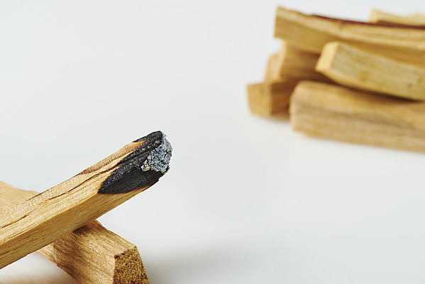 포토 JPG 스튜디오촬영 실내 근접촬영 사람없음 아웃포커스 흰배경 아로마 향 나무조각 아로마테라피 팔로산토 국내포토 나무 뷰포인트 백그라운드 촬영기법 내부 목재 흰색 테라피 파일형식