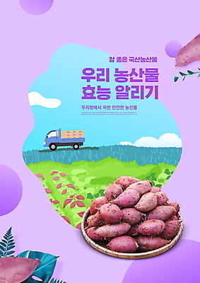 PSD 편집이미지 타이포그라피 사람없음 농작물 소쿠리 보라색 트럭 알림 담기 고구마 국산 고구마밭 로컬푸드 이미지편집 문자 컬러 밭 농업 모션 자동차 뿌리채소 농산물 바구니 파일형식