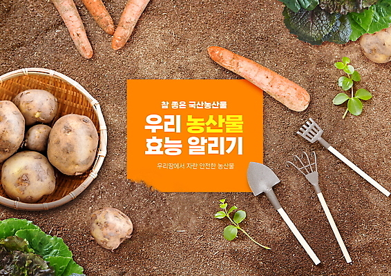 PSD 편집이미지 감자 타이포그라피 사람없음 농작물 소쿠리 흙 당근 상추 농기구 모종삽 알림 국산 로컬푸드 이미지편집 문자 농업 채소 뿌리채소 농산물 바구니 삽 파일형식