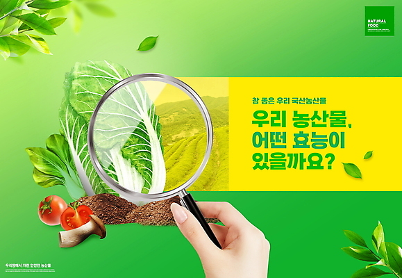 PSD 편집이미지 손 방울토마토 돋보기 나뭇잎 들기 타이포그라피 신체부위 초록색 농작물 분석 배추 국산 로컬푸드 이미지편집 문자 컬러 컨셉 잎 농업 토마토 채소 모션 사람 농산물 파일형식